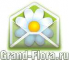 Логотип компании Доставка цветов Гранд Флора (ф-л г.Кореновск)